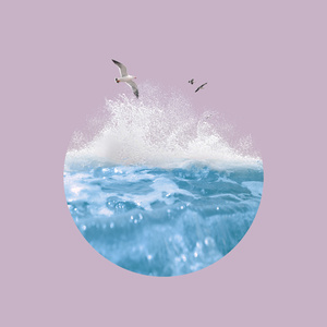 zxfuil福利在线观看午夜
